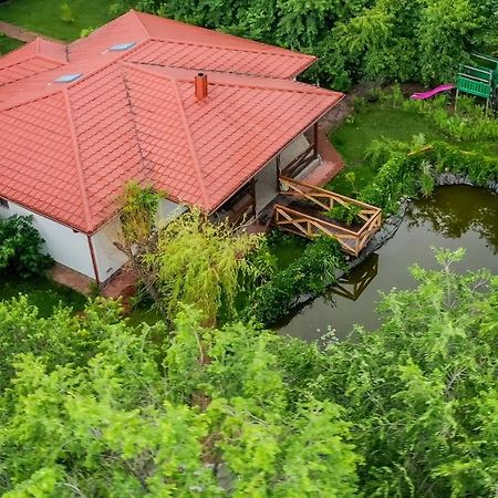 Casa Arcadia 1 Piscina,Jacuzzi, Sauna Бузеу Екстер'єр фото