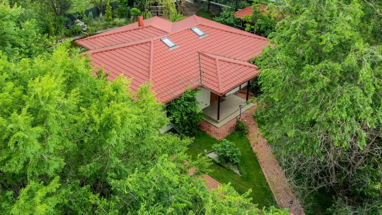 Casa Arcadia 1 Piscina,Jacuzzi, Sauna Бузеу Екстер'єр фото