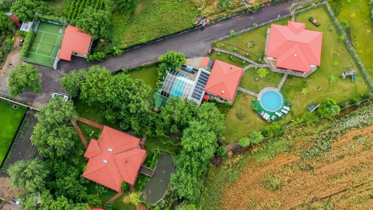 Casa Arcadia 1 Piscina,Jacuzzi, Sauna Бузеу Екстер'єр фото