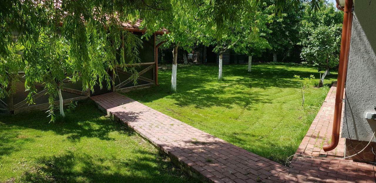 Casa Arcadia 1 Piscina,Jacuzzi, Sauna Бузеу Екстер'єр фото